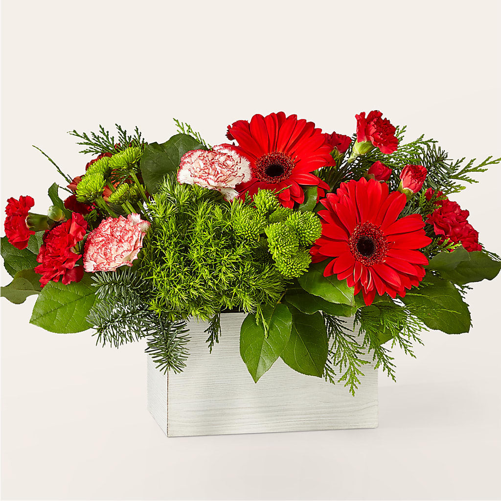 The Rudolph Bouquet – Life Of A Flower, Dallas TX