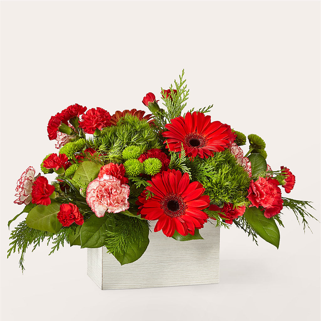 The Rudolph Bouquet – Life Of A Flower, Dallas TX