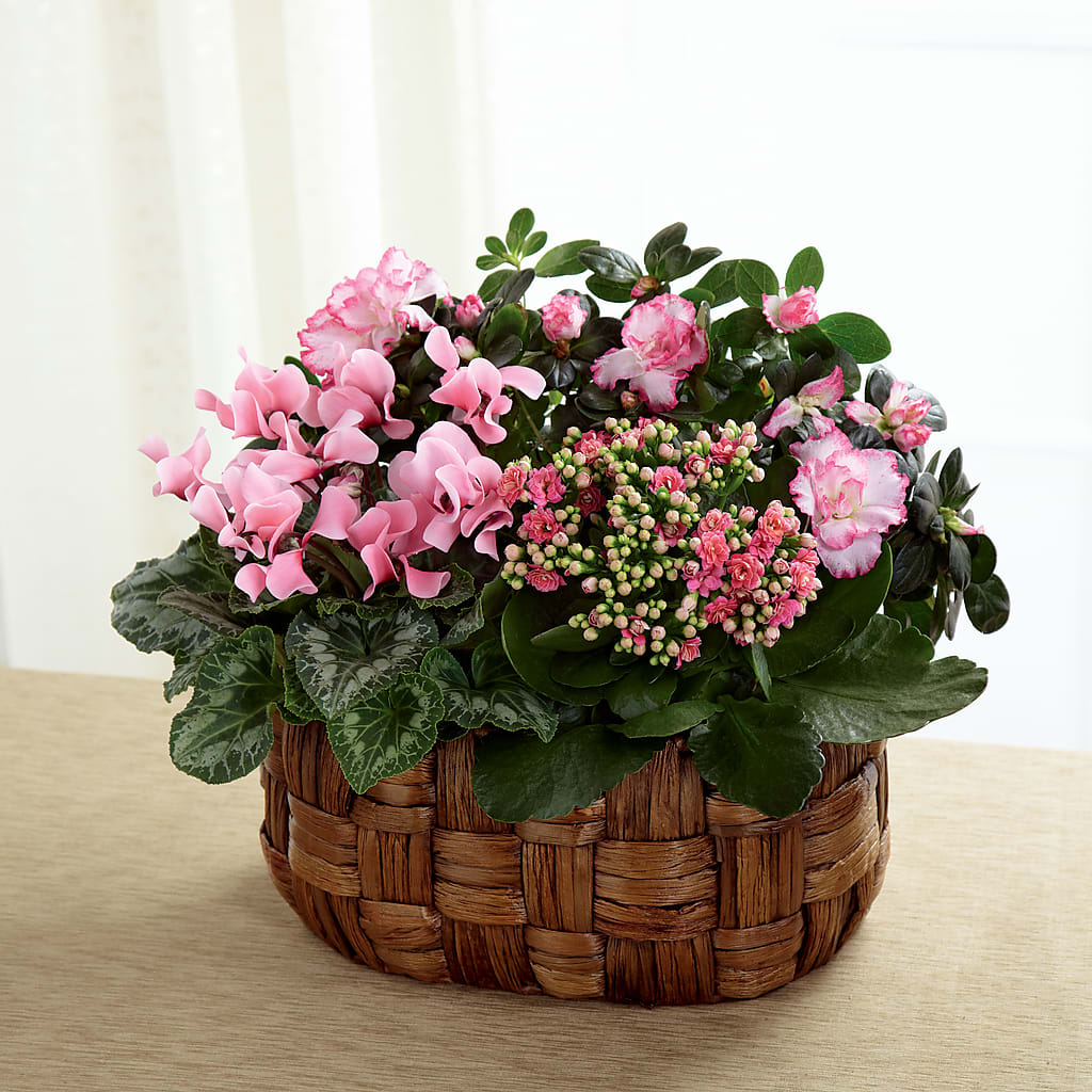 Pink Assortment – Life Of A Flower, Dallas TX