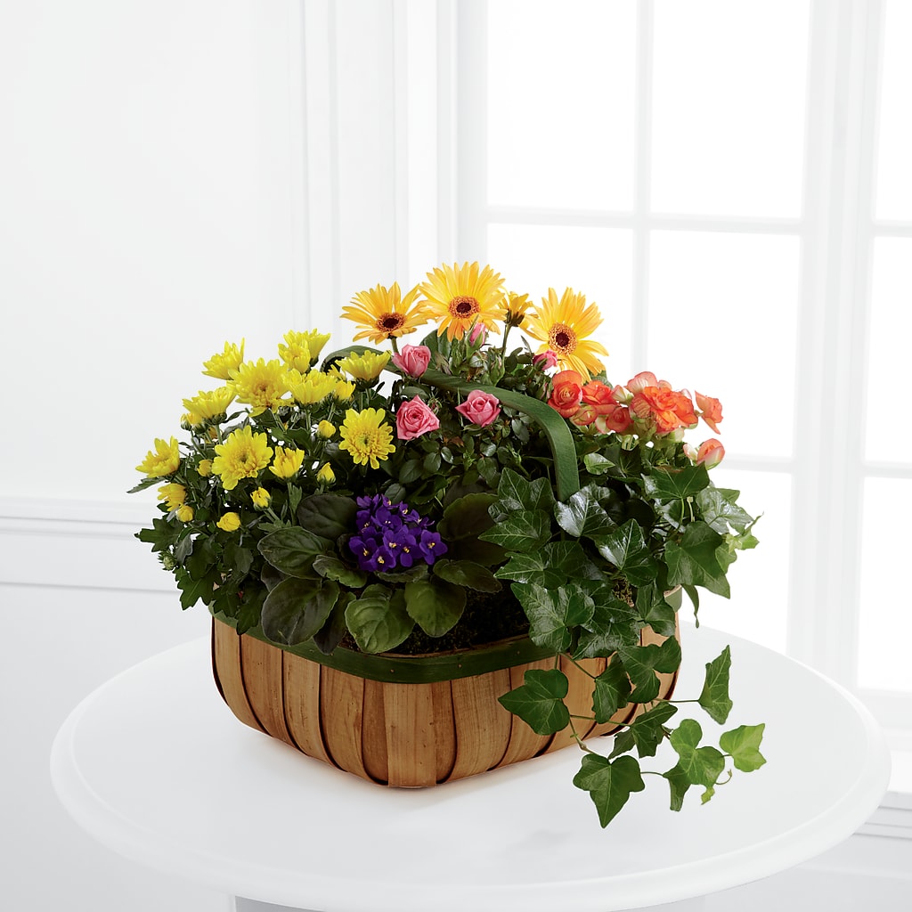 Gentle Blossoms Basket – Life Of A Flower, Dallas TX