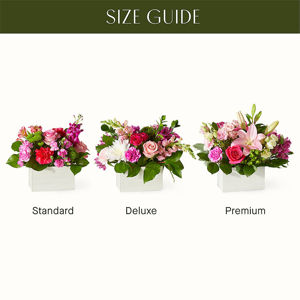 Sweetberry Box – A Florist Original – Life Of A Flower, Dallas TX