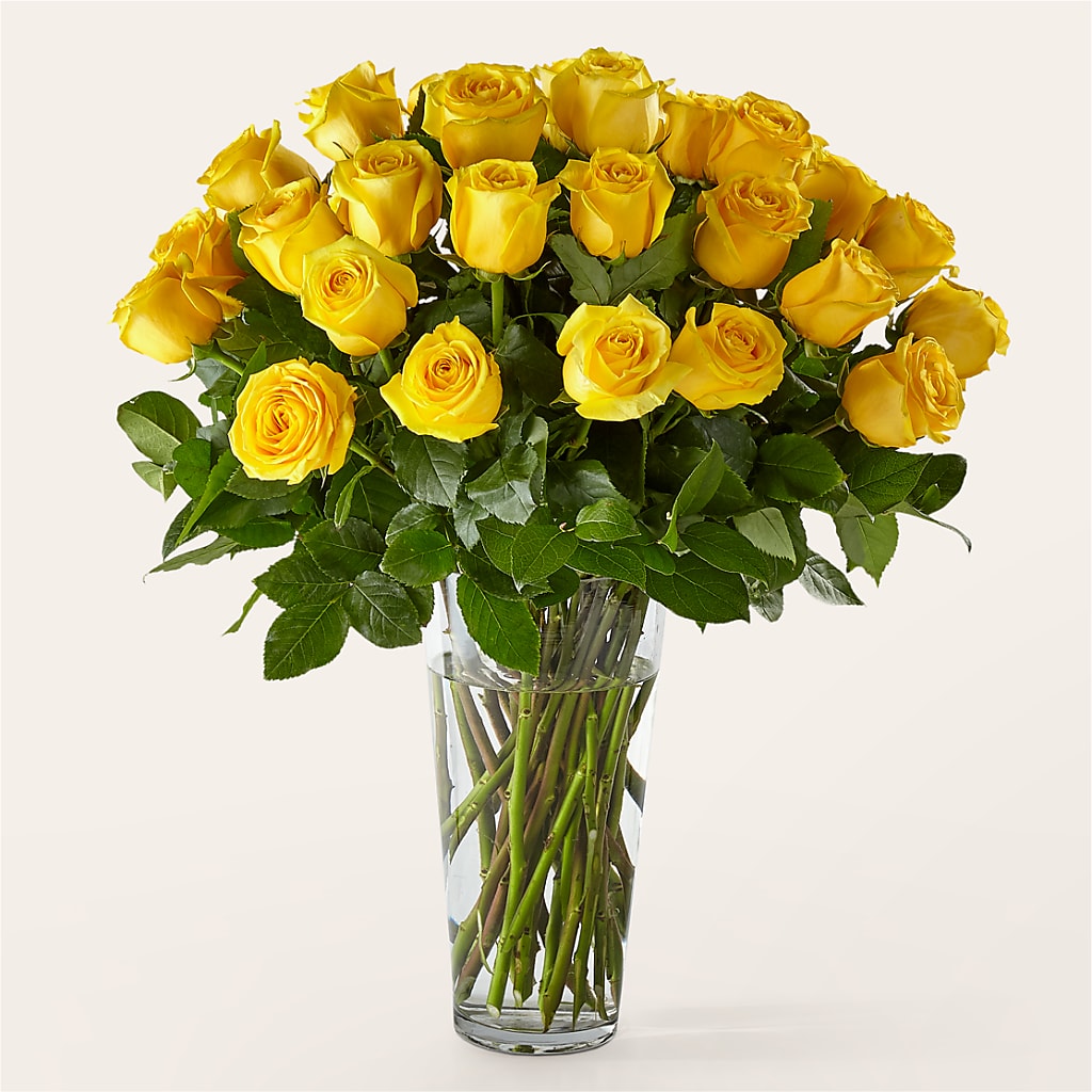 Long Stem Yellow Rose Bouquet – Life Of A Flower, Dallas TX
