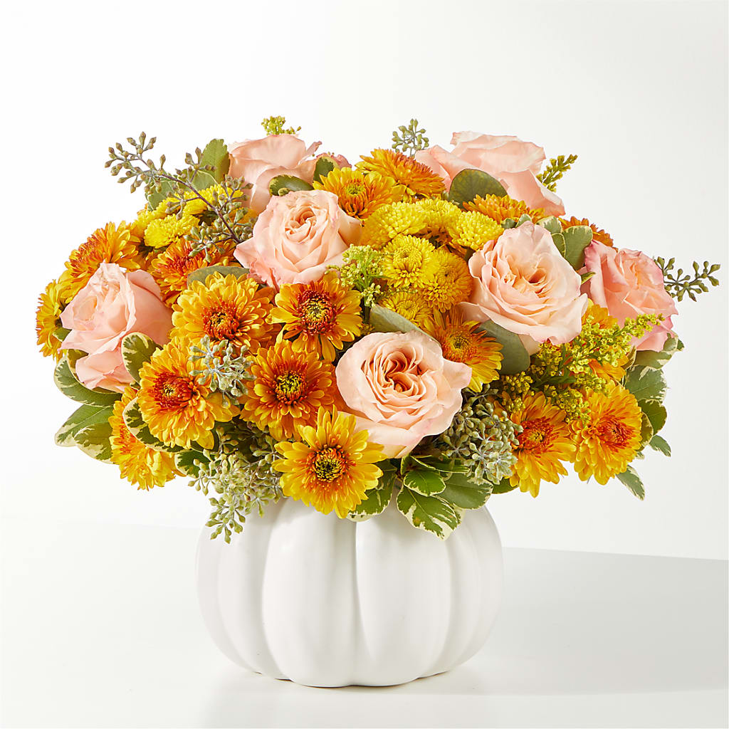 Peachy Pumpkin – Life Of A Flower, Dallas TX
