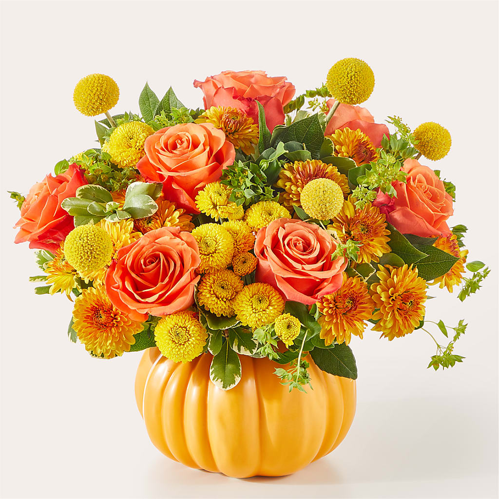 Gourdgeous Pumpkin – Life Of A Flower, Dallas TX