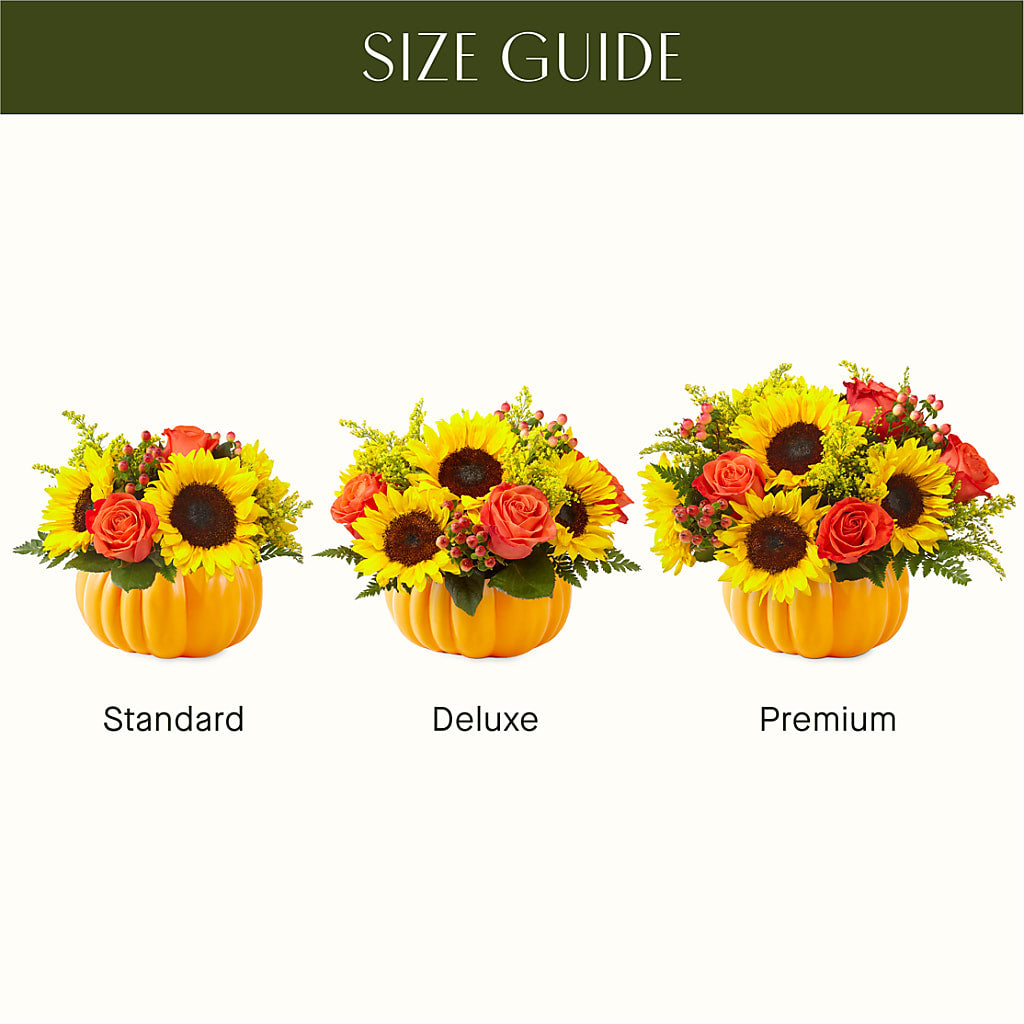 Pick of the Patch Pumpkin Bouquet – Life Of A Flower, Dallas TX