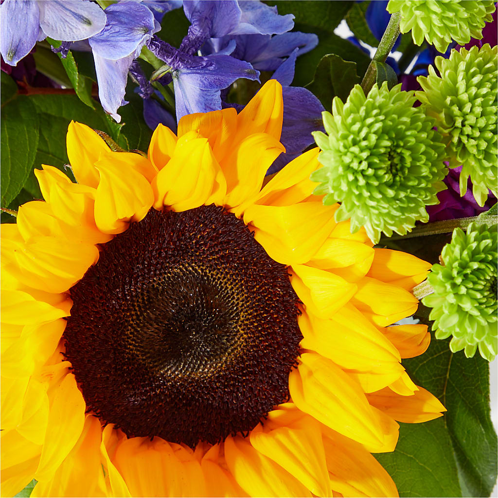 Catching Rays Bouquet – Life Of A Flower, Dallas TX