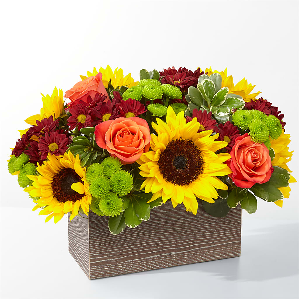 Happy Harvest Garden – Life Of A Flower, Dallas TX