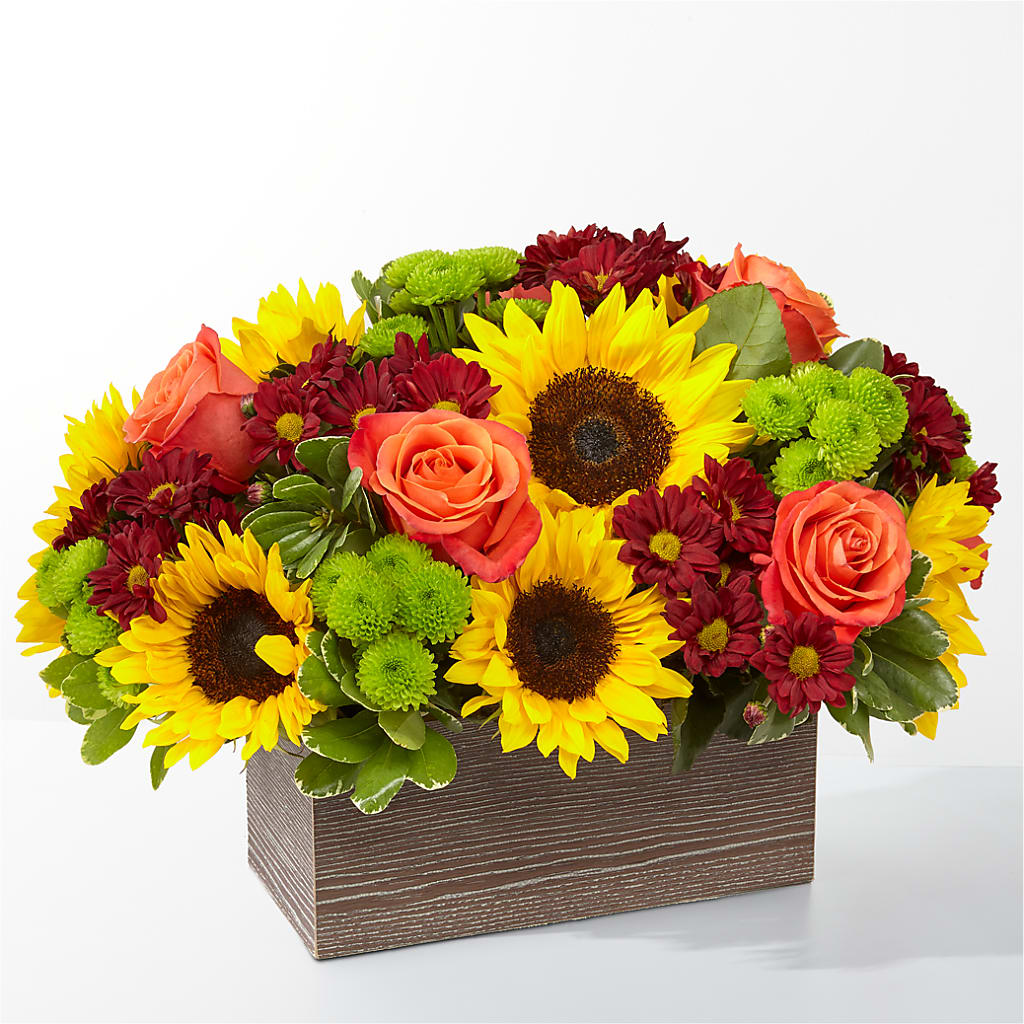 Happy Harvest Garden – Life Of A Flower, Dallas TX