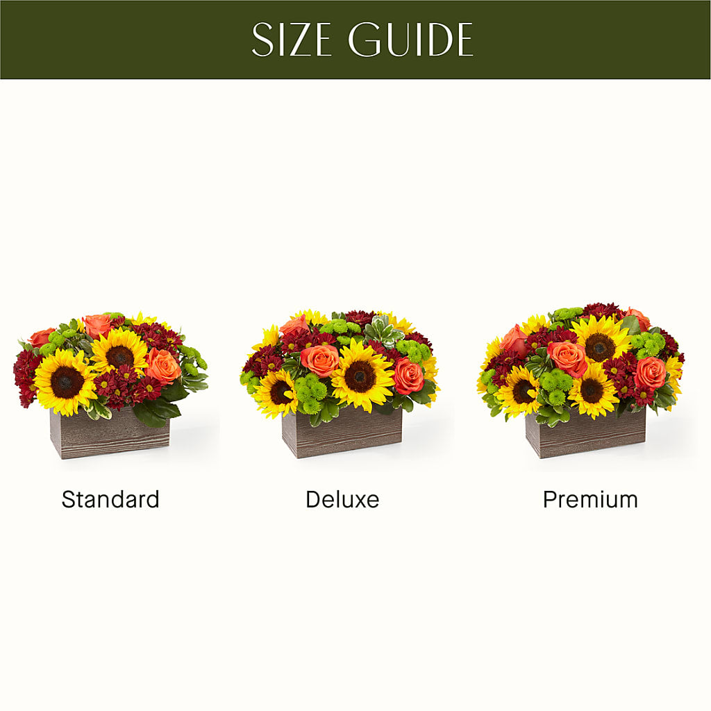 Happy Harvest Garden – Life Of A Flower, Dallas TX