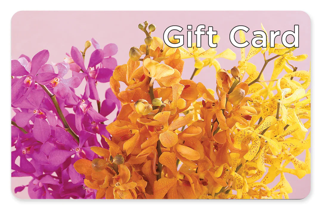 Gift Card – Life Of A Flower, Dallas TX