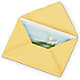 Greeting Card – Life Of A Flower, Dallas TX