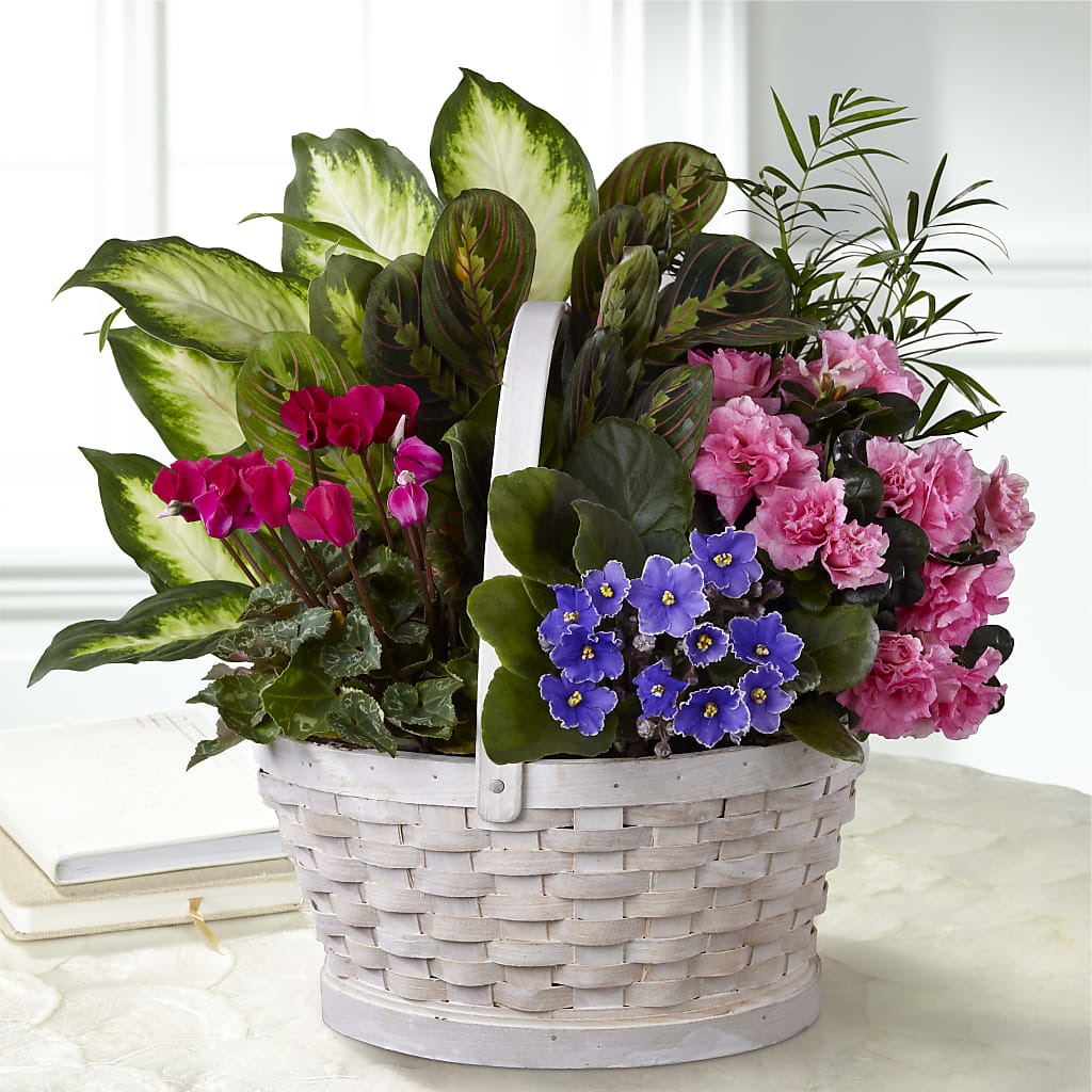 Peaceful Garden Planter – Life Of A Flower, Dallas TX