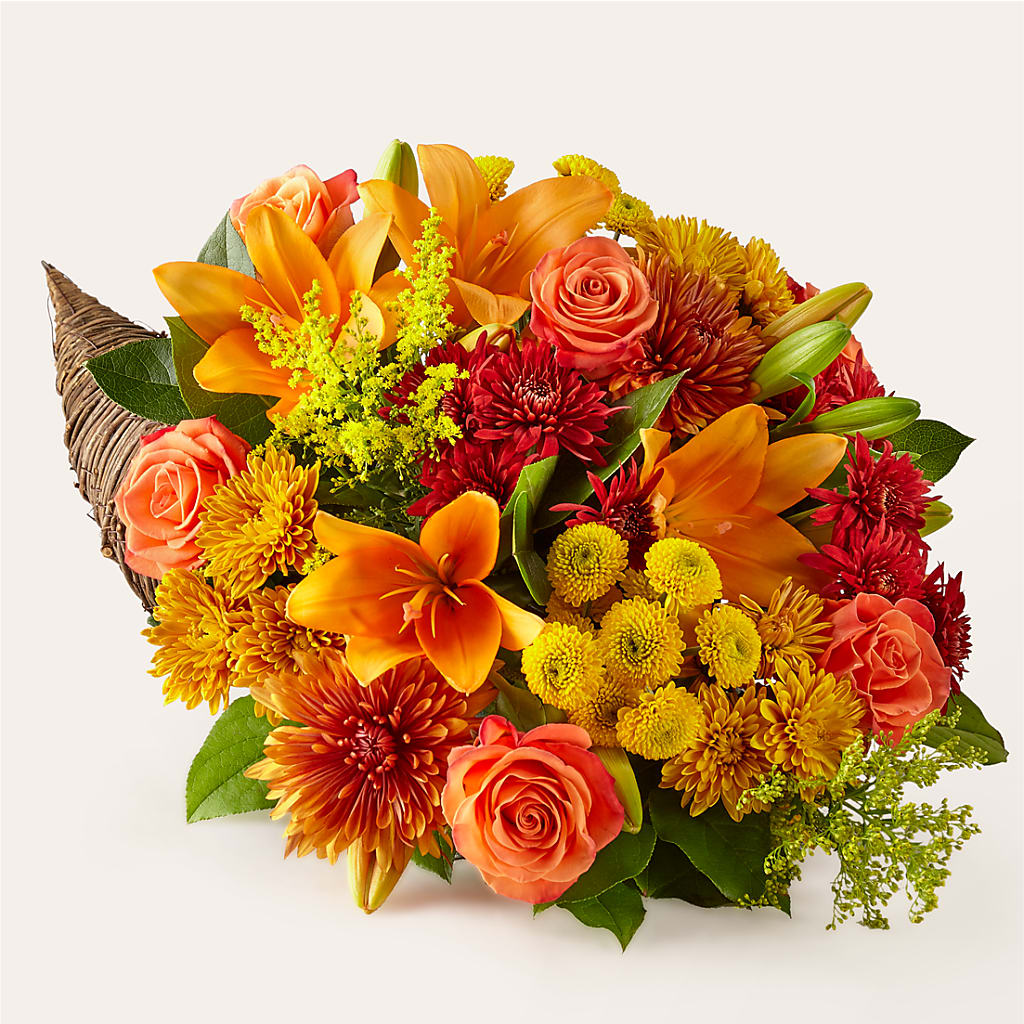 Feast of Color Cornucopia – Life Of A Flower, Dallas TX