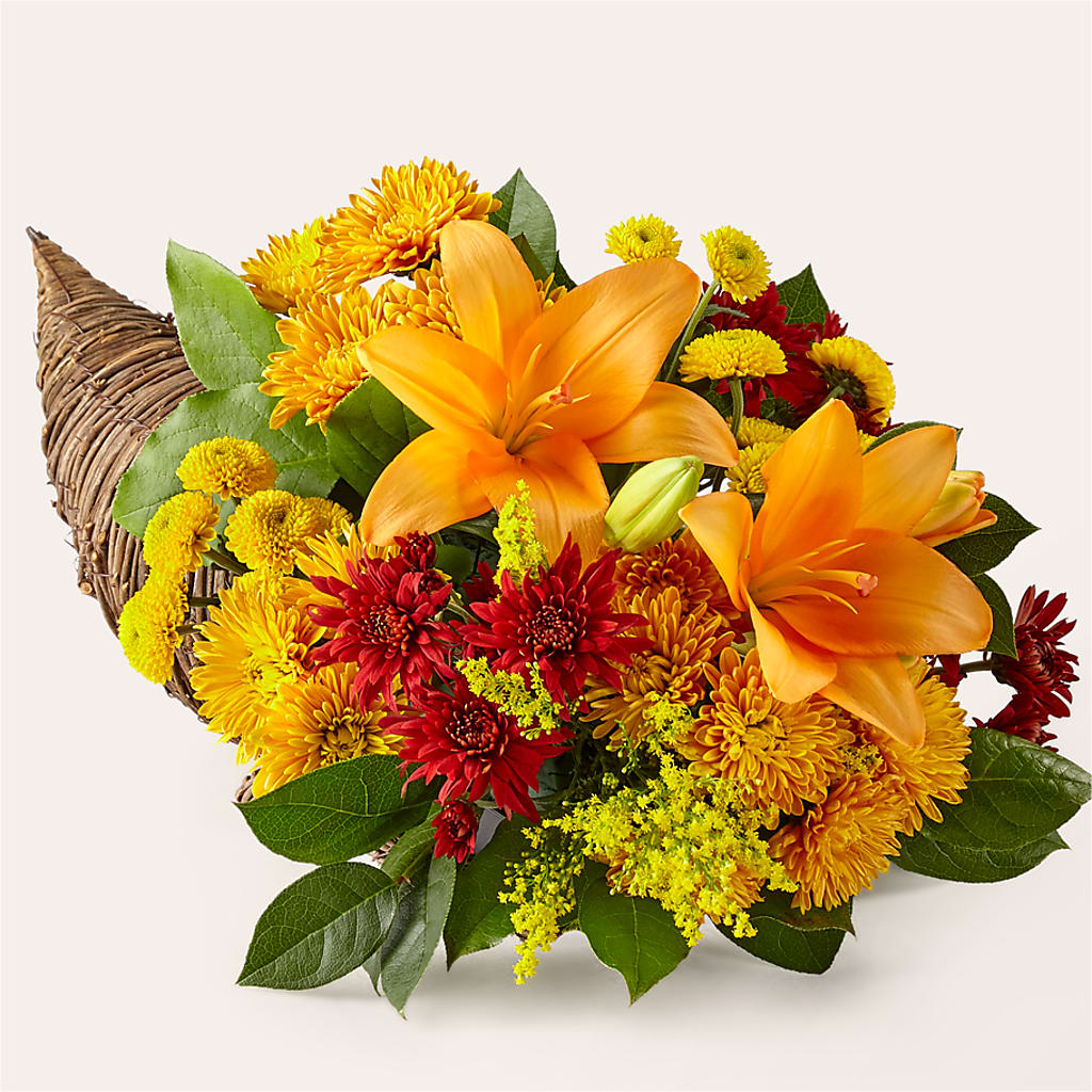 Feast of Color Cornucopia – Life Of A Flower, Dallas TX