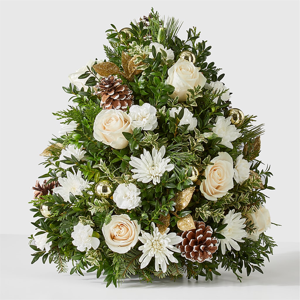 Snowed In Tree – Life Of A Flower, Dallas TX