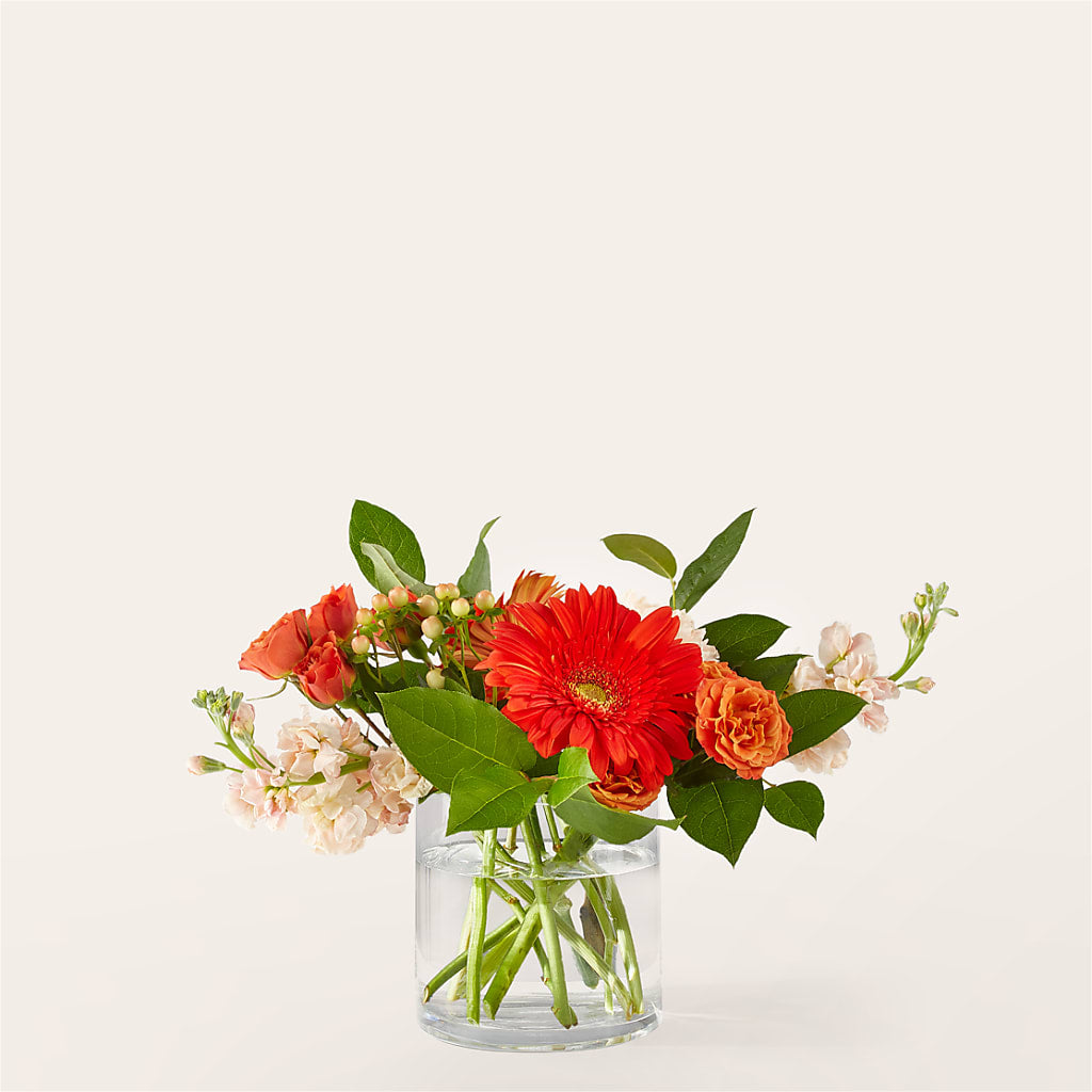 Paloma Please Bouquet – Life Of A Flower, Dallas TX