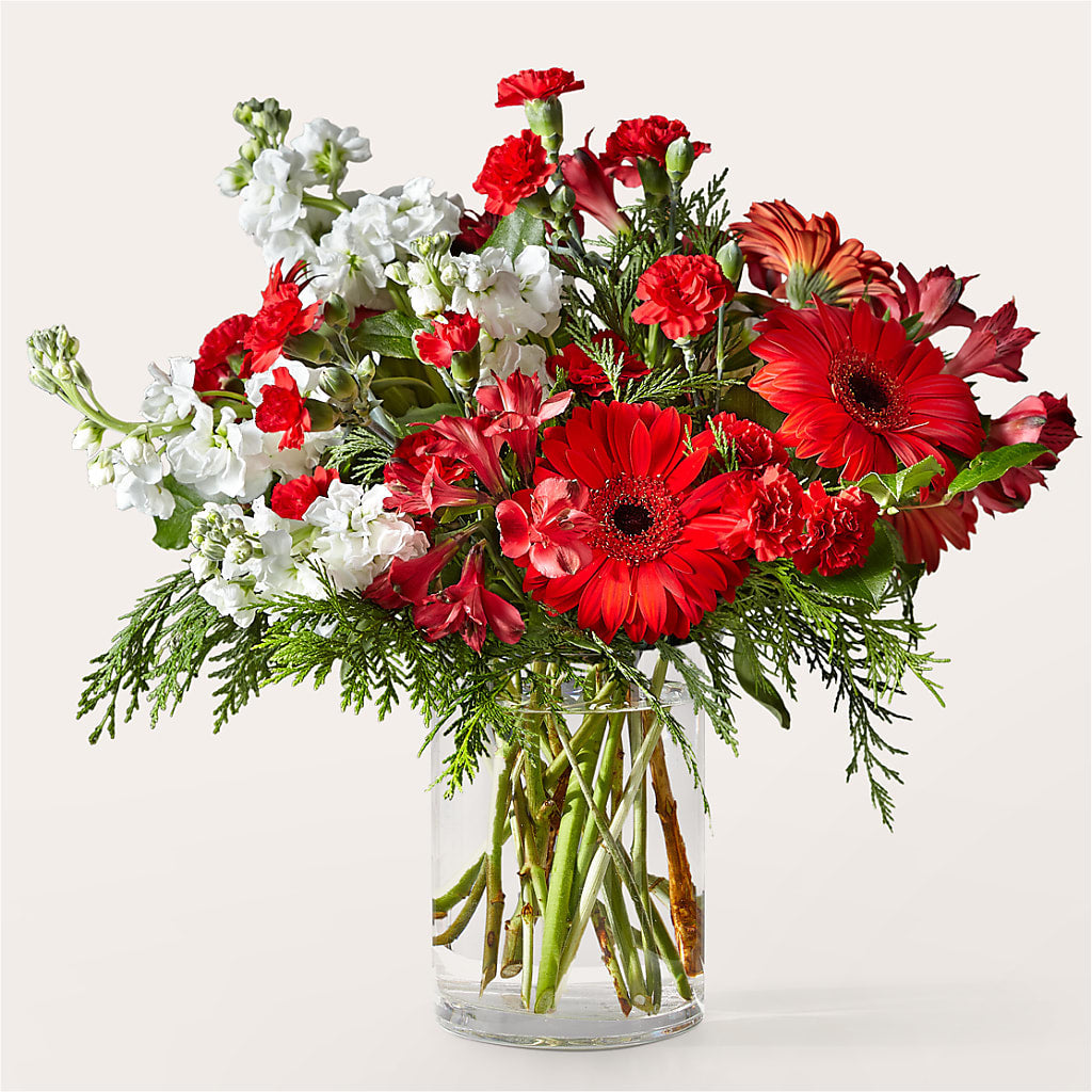 Holidaisy Bouquet – Life Of A Flower, Dallas TX