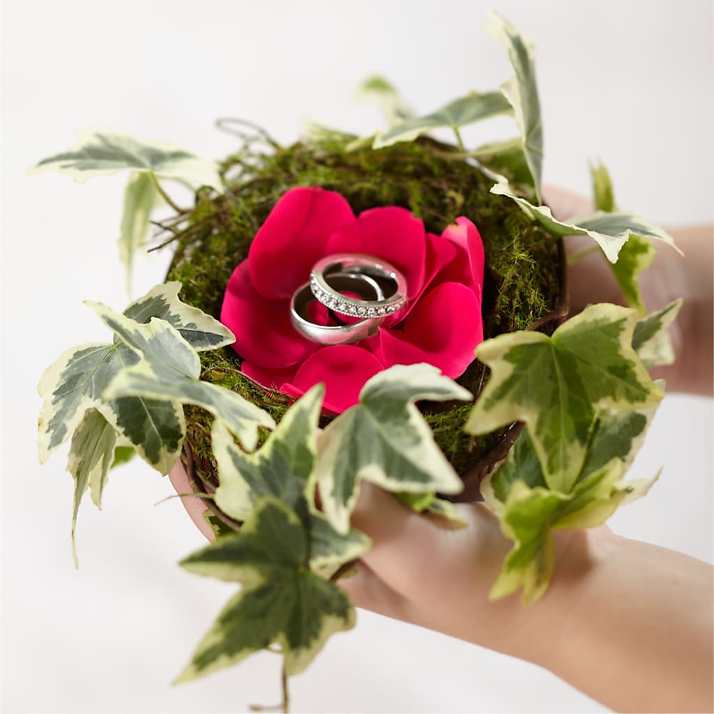 Lila Rose Ring Nest – Life Of A Flower, Dallas TX