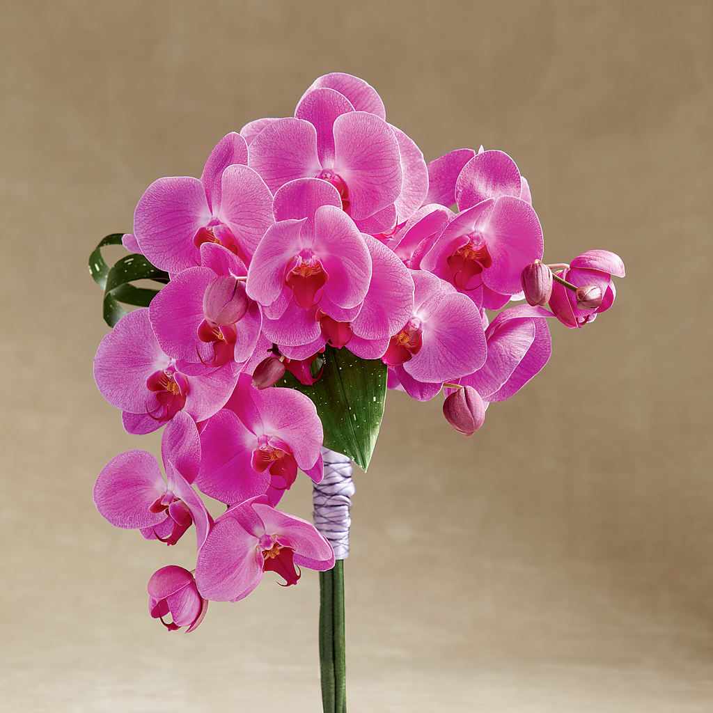 Glorious Bouquet – Life Of A Flower, Dallas TX