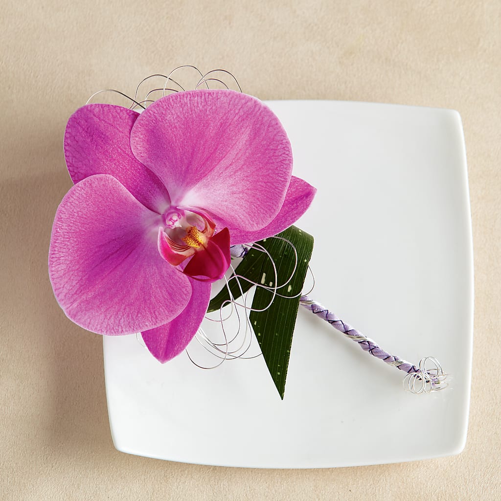 Glorious Boutonniere – Life Of A Flower, Dallas TX