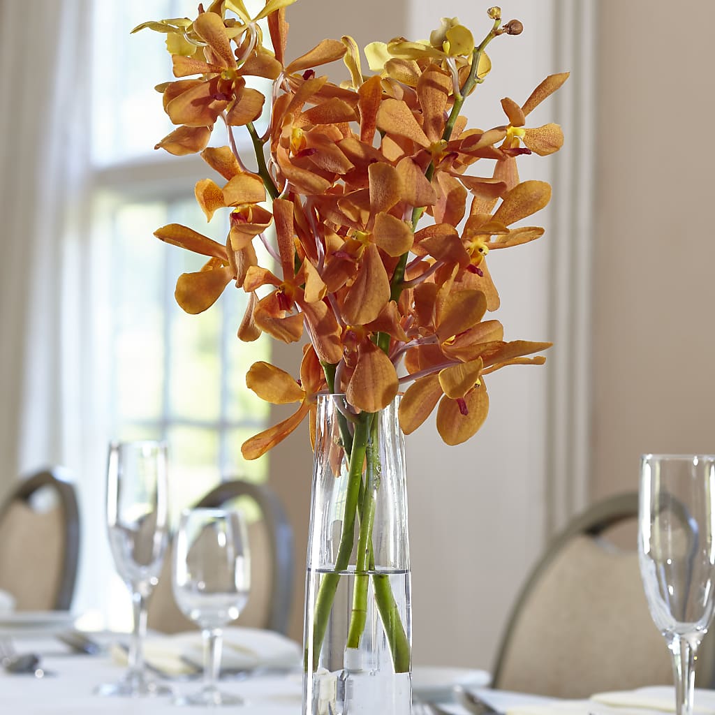 Orange Mokara Bud Vase – Life Of A Flower, Dallas TX