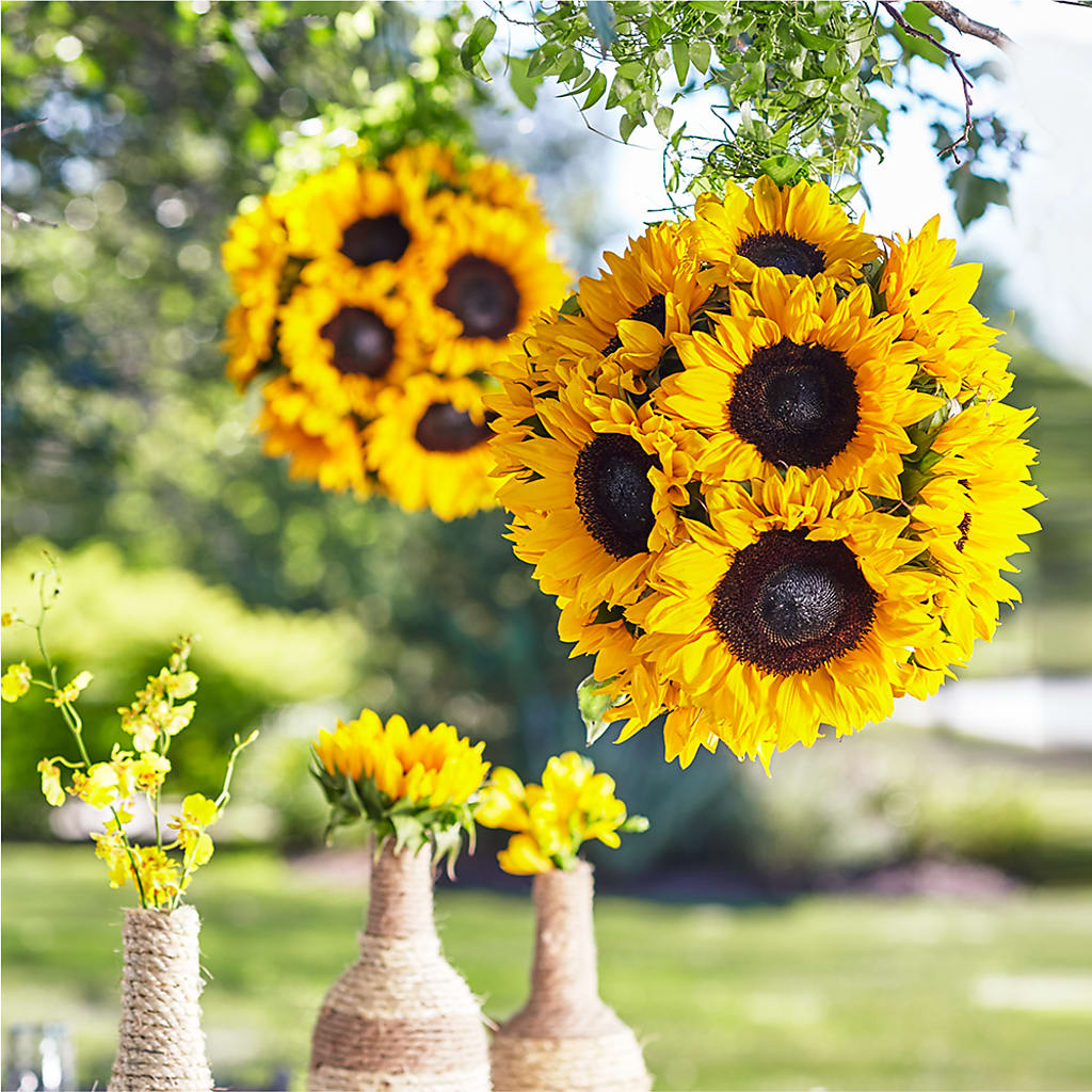 Sublime Garden Hanging Arrangement – Life Of A Flower, Dallas TX