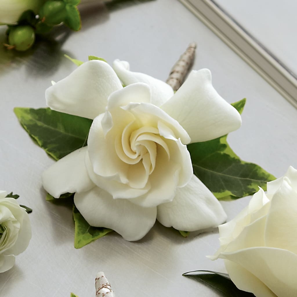 Gardenia Boutonniere – Life Of A Flower, Dallas TX