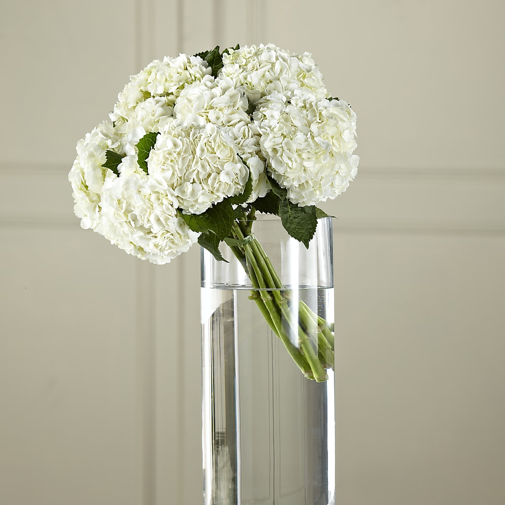 White Hydrangea Hand-Tied Bouquet – Life Of A Flower, Dallas TX