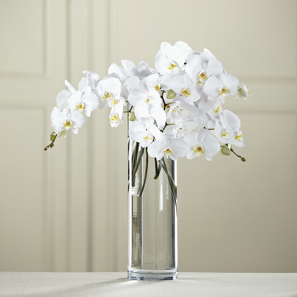 White Phalaenopsis Bouquet – Life Of A Flower, Dallas TX