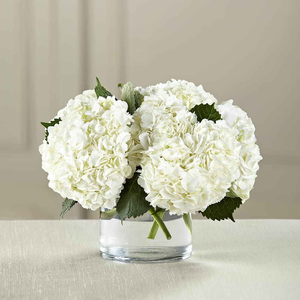 White Hydrangea Bouquet – Life Of A Flower, Dallas TX