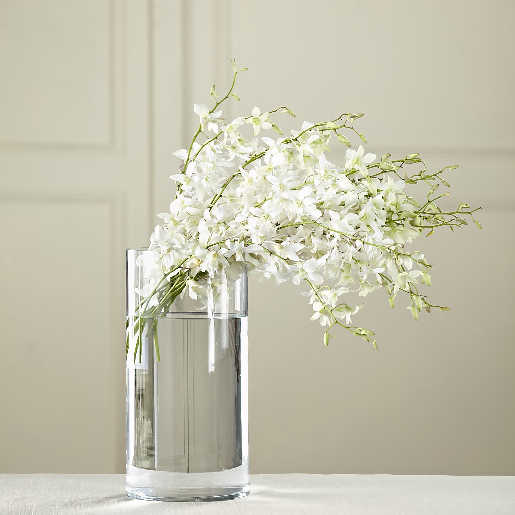White Dendrobium Bouquet – Life Of A Flower, Dallas TX