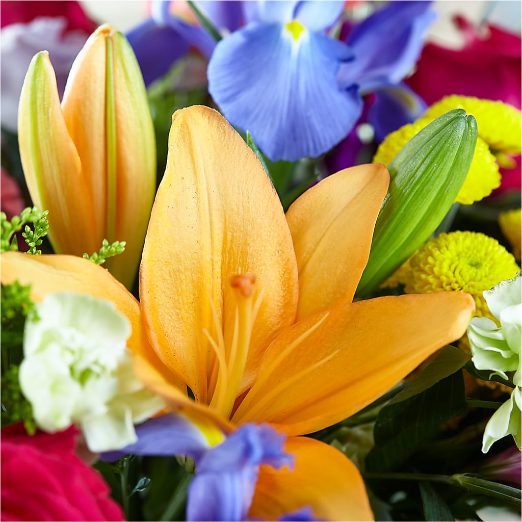 Bold & Bright – A Florist Original –  Life Of A Flower, Dallas TX