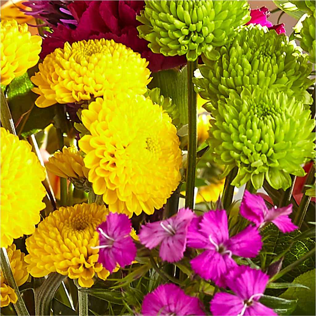 Bold & Bright – A Florist Original –  Life Of A Flower, Dallas TX