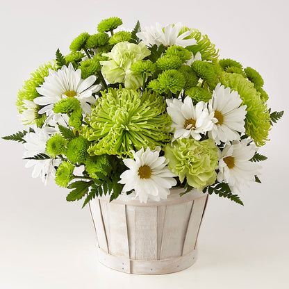Lucky Charm Basket (Standard) –  Life Of A Flower, Dallas TX