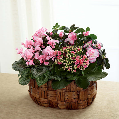 Pink Assortment –  Life Of A Flower, Dallas TX