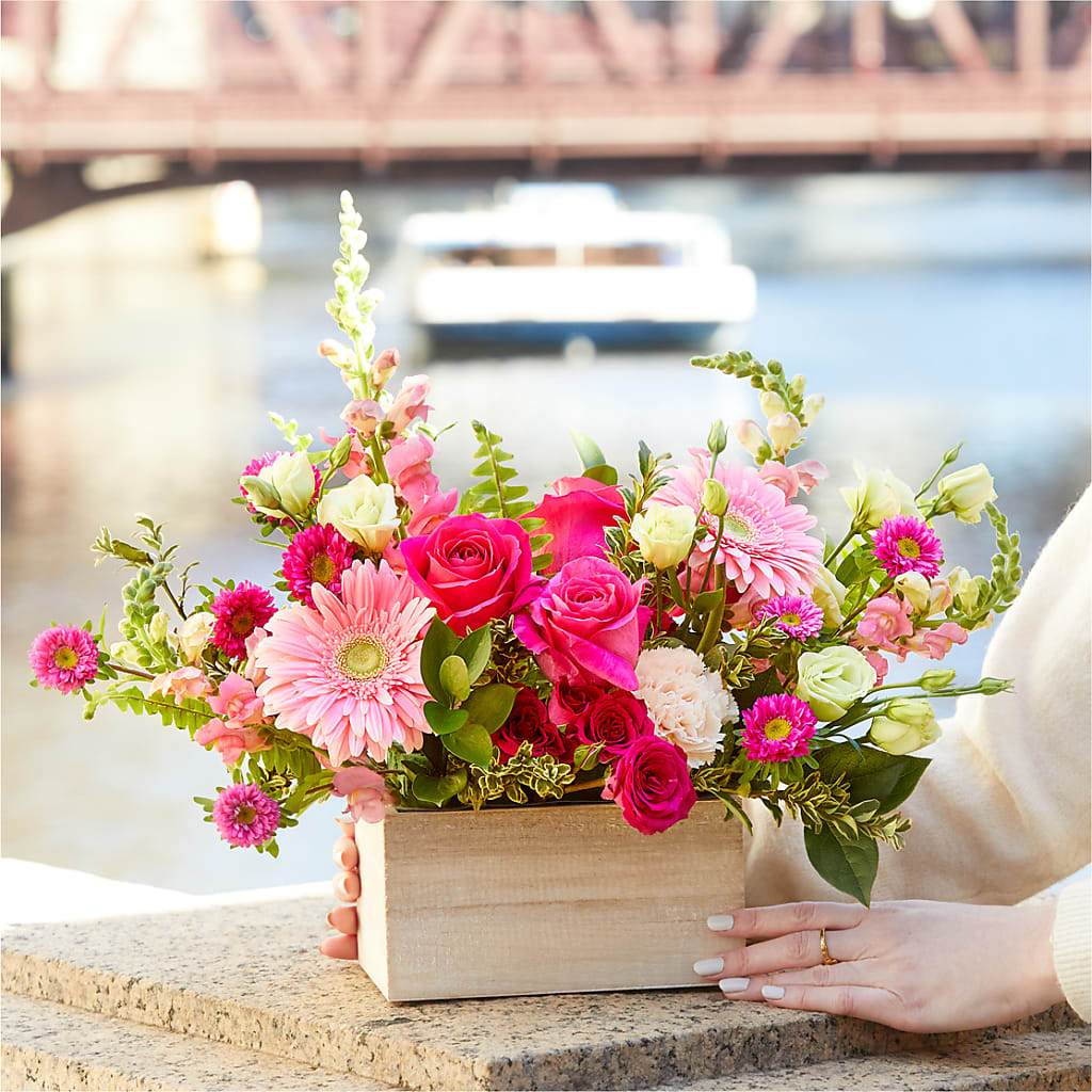 Too Cute Bouquet –  Life Of A Flower, Dallas TX