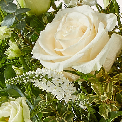 Cashmere Bouquet –  Life Of A Flower, Dallas TX