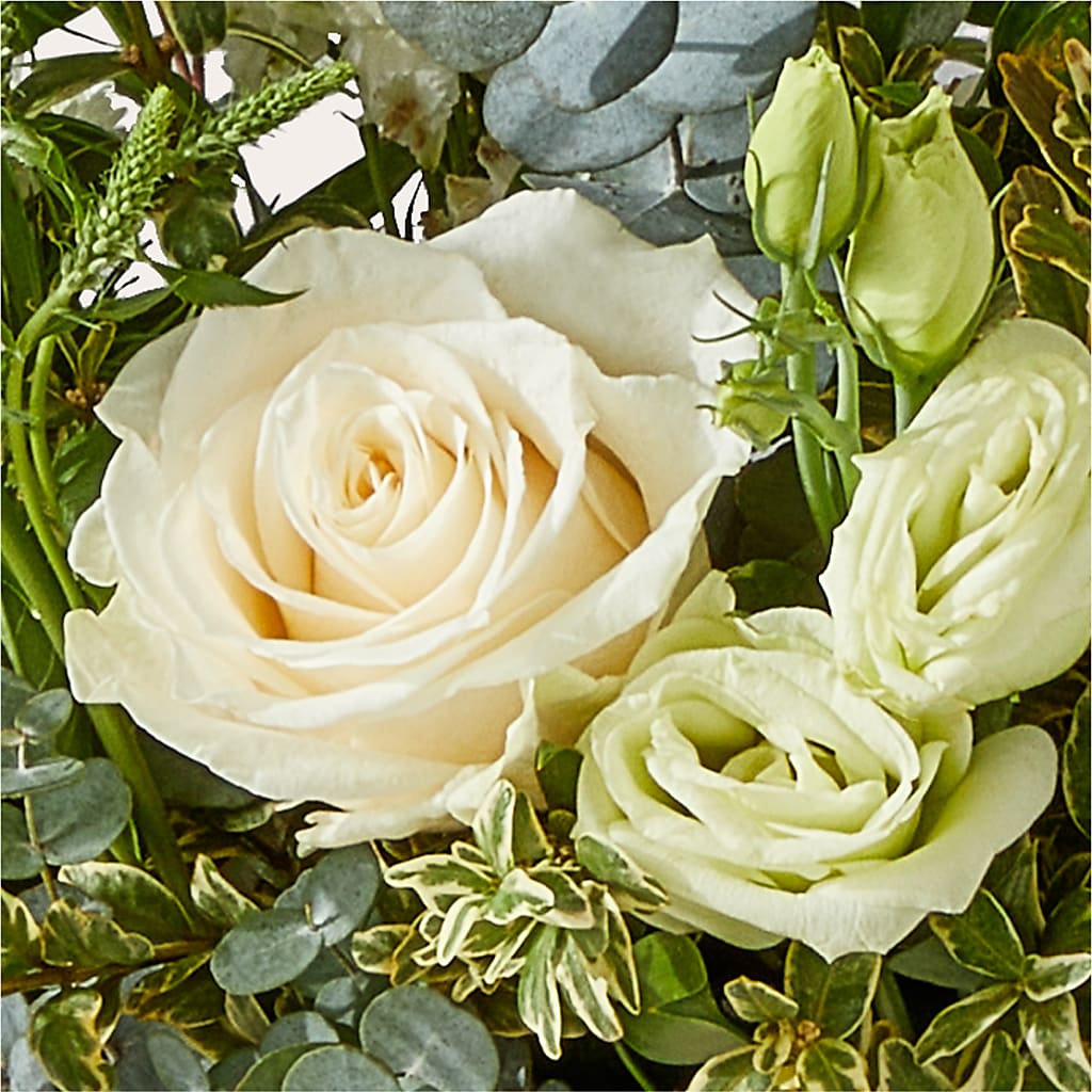 Cashmere Bouquet –  Life Of A Flower, Dallas TX