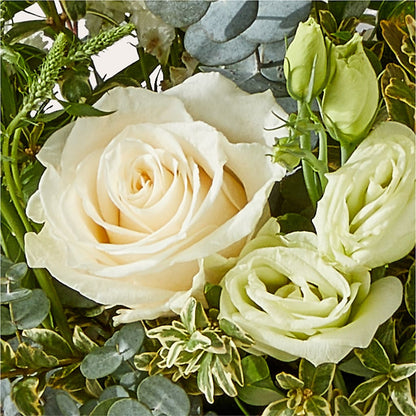 Cashmere Bouquet –  Life Of A Flower, Dallas TX