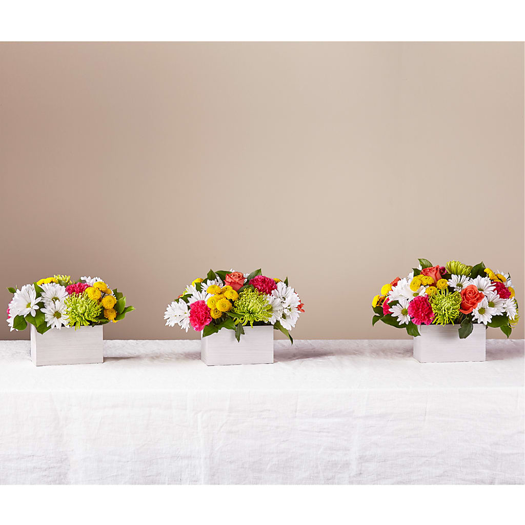 Sorbet Bouquet –  Life Of A Flower, Dallas TX