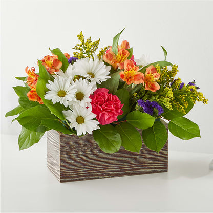 Bouquet Boîte Oopsie Daisy