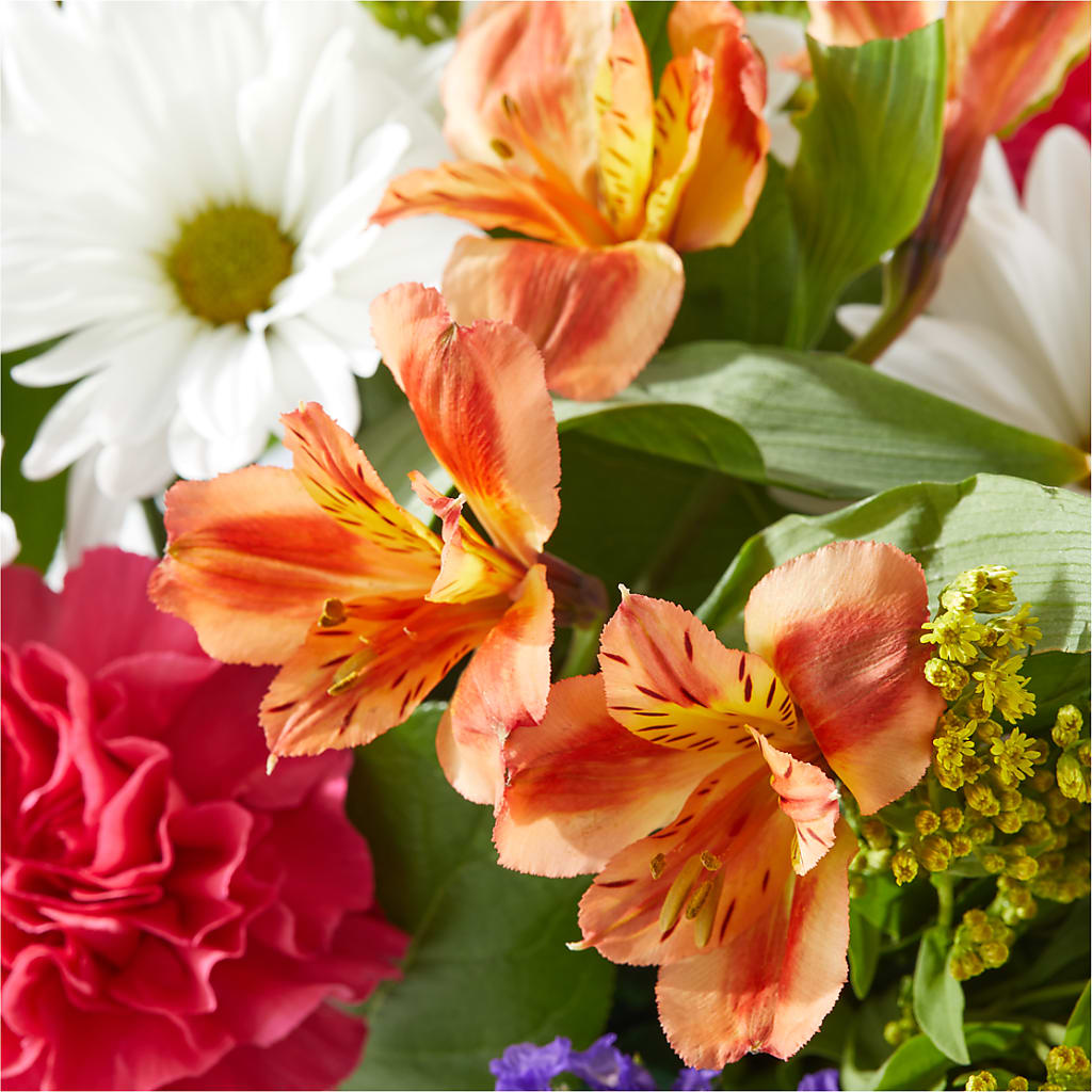Oopsie Daisy Box Bouquet –  Life Of A Flower, Dallas TX