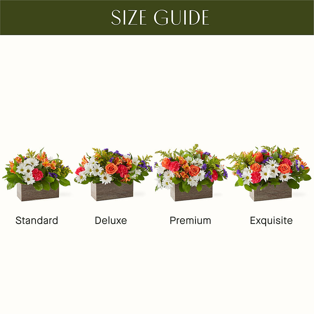 Oopsie Daisy Box Bouquet –  Life Of A Flower, Dallas TX