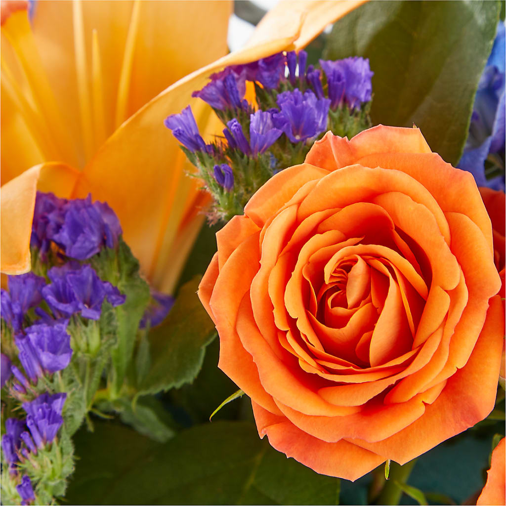 Radiant Citrus Box Bouquet –  Life Of A Flower, Dallas TX