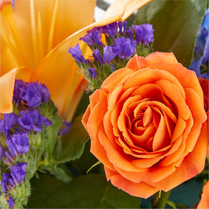 Radiant Citrus Box Bouquet –  Life Of A Flower, Dallas TX