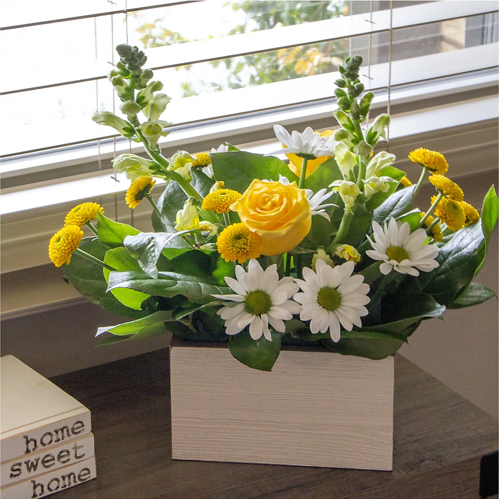 Sun Salutation Box Bouquet –  Life Of A Flower, Dallas TX