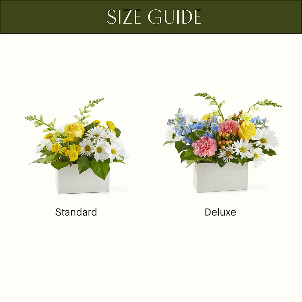 Sun Salutation Box Bouquet –  Life Of A Flower, Dallas TX