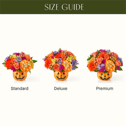 Tricks & Treats Pumpkin –  Life Of A Flower, Dallas TX