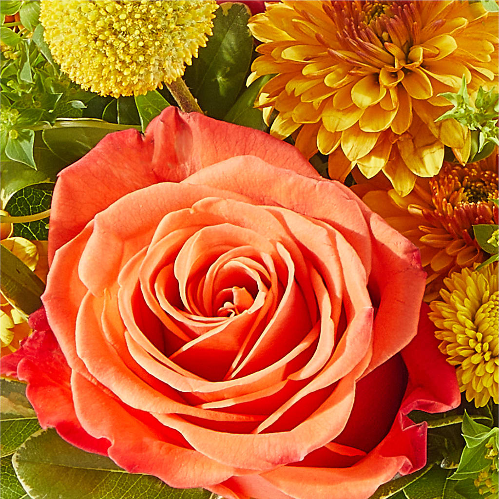 Gourdgeous Pumpkin –  Life Of A Flower, Dallas TX