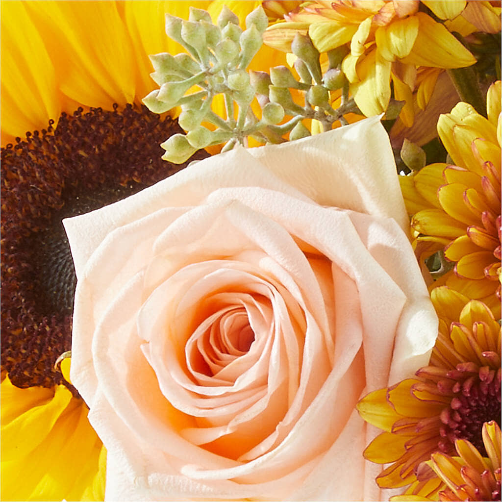 Pumpkin to Talk About Bouquet –  Life Of A Flower, Dallas TX